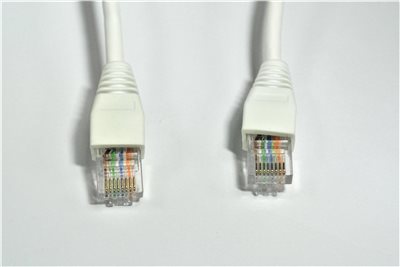 AMP CAT5E網路線  1M