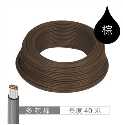 多芯線 棕 AWG24 40米 耐溫 80℃ 11芯 / 0.1mm
