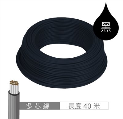 多芯線 黑 AWG24 40米 耐溫 80℃ 11芯 / 0.1mm