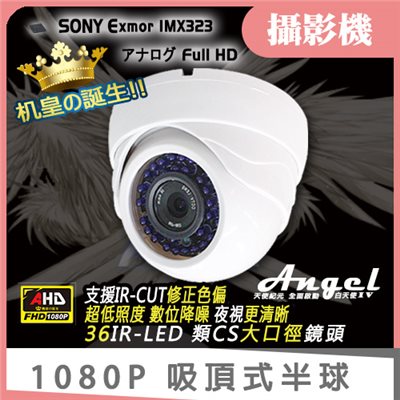 半球 1080P 