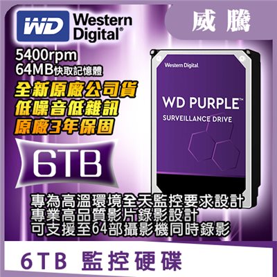 WD監控硬碟【6TB】 