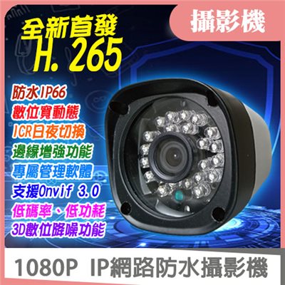 IP網路防水攝影機 1080P