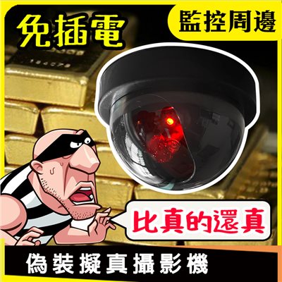 擬真監視攝影機