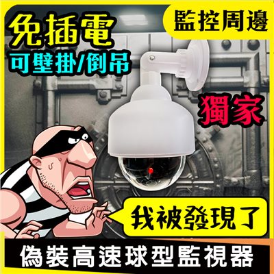 進階款-高速球 擬真監視器攝影機