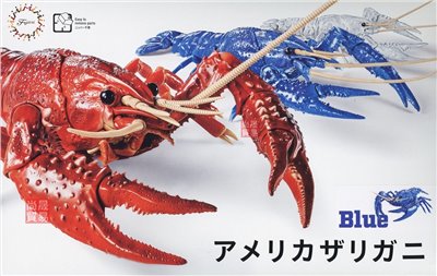 FUJIMI 美國螯蝦 藍色 富士美 自由研究24EX1 生物編 組裝模型