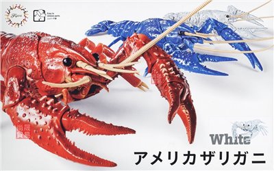 FUJIMI 美國螯蝦 白色 富士美 自由研究24EX2 生物編 組裝模型
