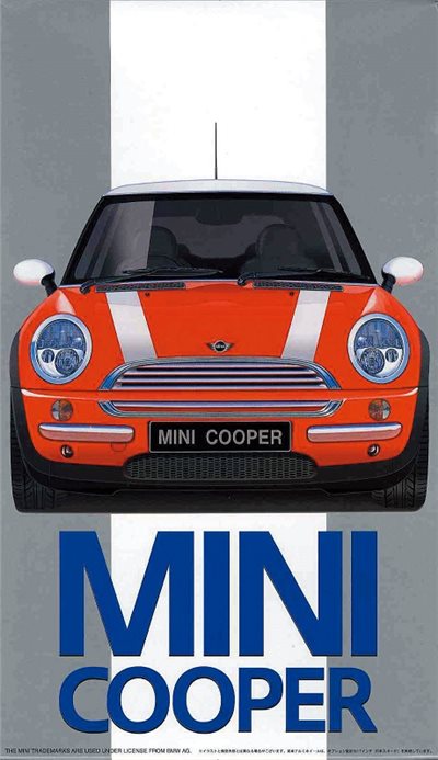 FUJIMI 1/24 NEW MINI COOPER 富士美 RS19 組裝模型