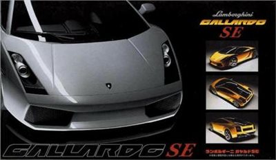 FUJIMI 1/24 Lamborghini Gallardo SE 富士美 RS70 組裝模型