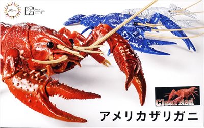 FUJIMI 美國螯蝦 透明紅色 富士美 自由研究24EX4 生物編 組裝模型