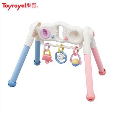 日本《樂雅 Toyroyal》寶寶二合一智育健力架
