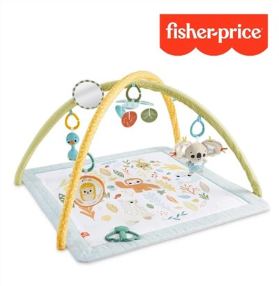 Fisher price 費雪 基礎感官訓練健身器 (健力架 /遊戲地墊)