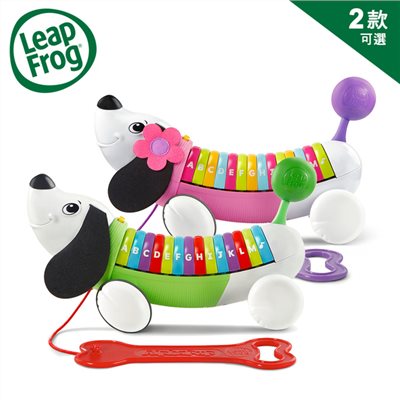 美國 LeapFrog跳跳蛙 彩虹字母小狗
