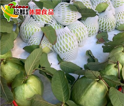 現採員林芭樂