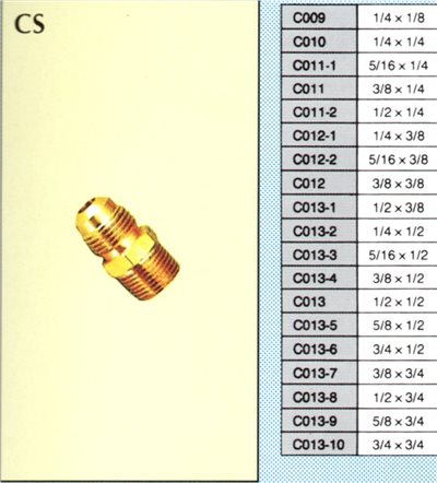 CS