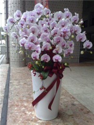 蘭花