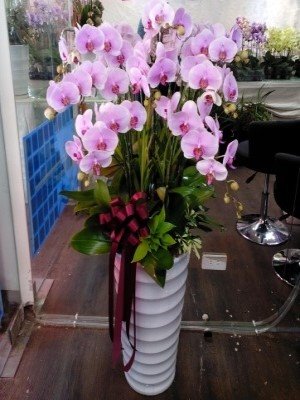 蘭花