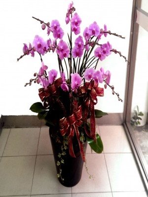 蘭花