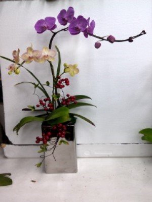 蘭花