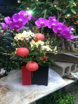 蘭花