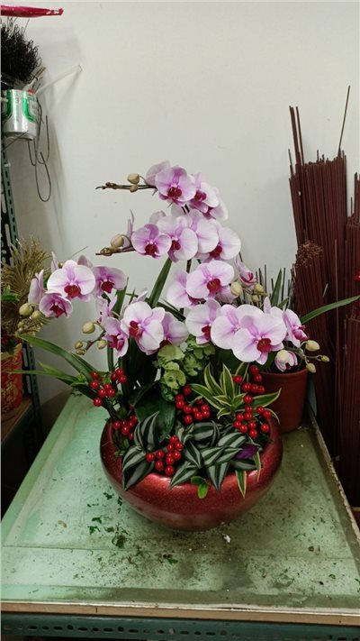 蘭花