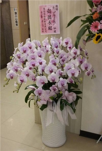 蘭花