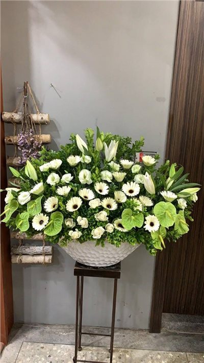 盆花