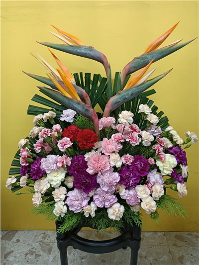 盆花