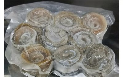 白帶魚卷
