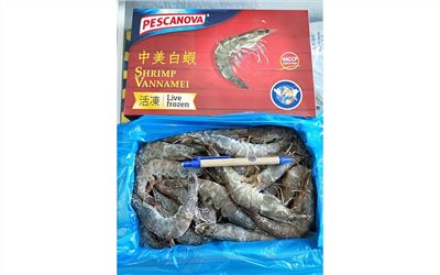 活凍白蝦50/60【4號】