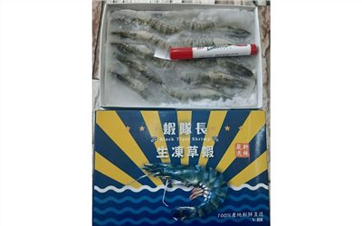 草蝦8p