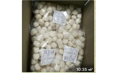 海灣貝柱