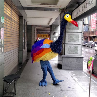 彩色鷸鳥【非租/純展示】
