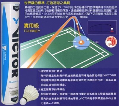 【羽球】勝利 Victor 鴨毛球 SILVER B-04 實用級《超值比賽練習球》水藍標羽球