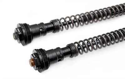CFMOTO 450SR 前叉阻尼系統雙內管匣 倒叉 ( FFC-250-TT )