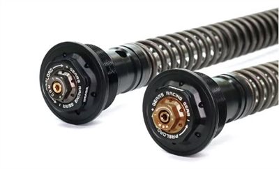 BENELLI Leoncino250 (22) 前叉阻尼系統雙內管匣 倒叉 ( FFC-250-T )