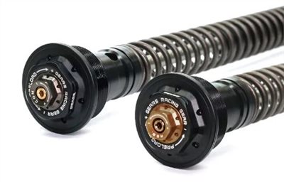 TRIUMPH Speed Master (19) 前叉阻尼系統雙內管匣 正叉 ( FFC-250-T )