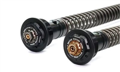 CFMOTO 450SR 前叉阻尼系統雙內管匣 倒叉 ( FFC-250-TT )