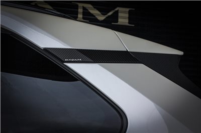 RAV4 50 系列 ROJAM 碳纖維貼花後四分之一裝飾件 4 件套