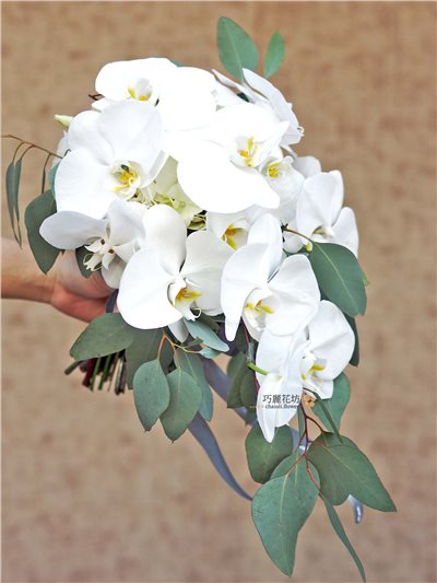 蝴蝶蘭捧花