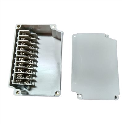 DS-PG-10P