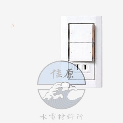 星光雙開一插附蓋WTDFP4336