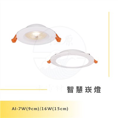 DanceLight 舞光 Ai智慧崁燈