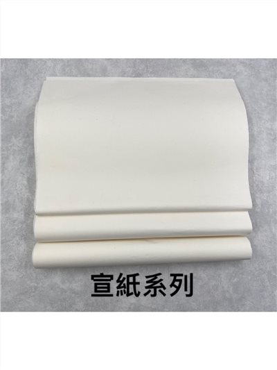 私詢宣紙型號