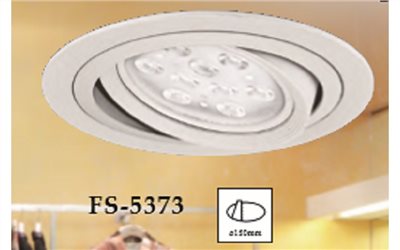 FS-5373
