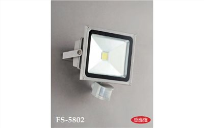 FS-5802