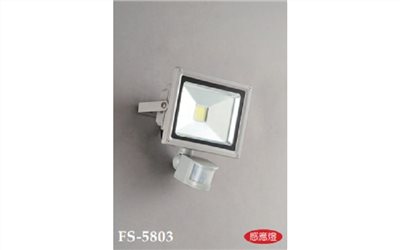 FS-5803