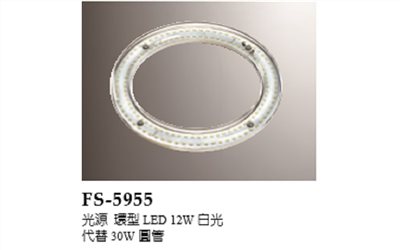 FS-5955