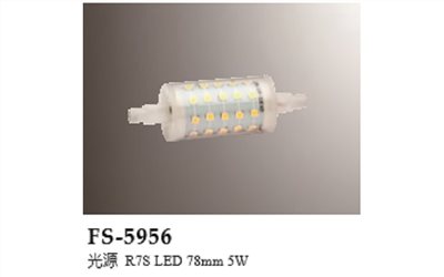 FS-5956