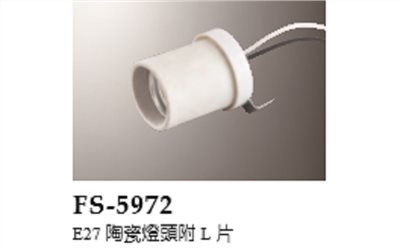 FS-5972