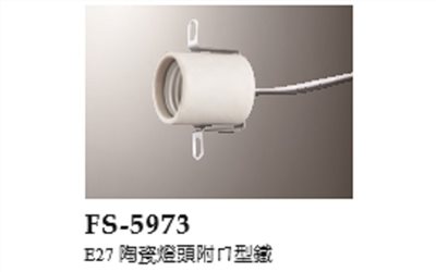 FS-5973